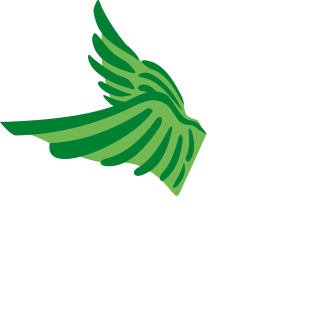 https://testsub.calandaflyers.ch/wp-content/uploads/2024/09/Logo_CF_weiss_favicon-320x317.png